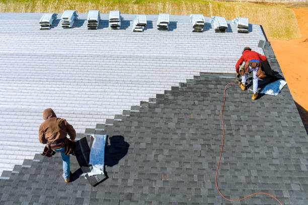 Best Best Roofing Contractors  in Forestville, OH