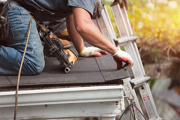 Best Roofing Contractors for Homes  in Forestville, OH